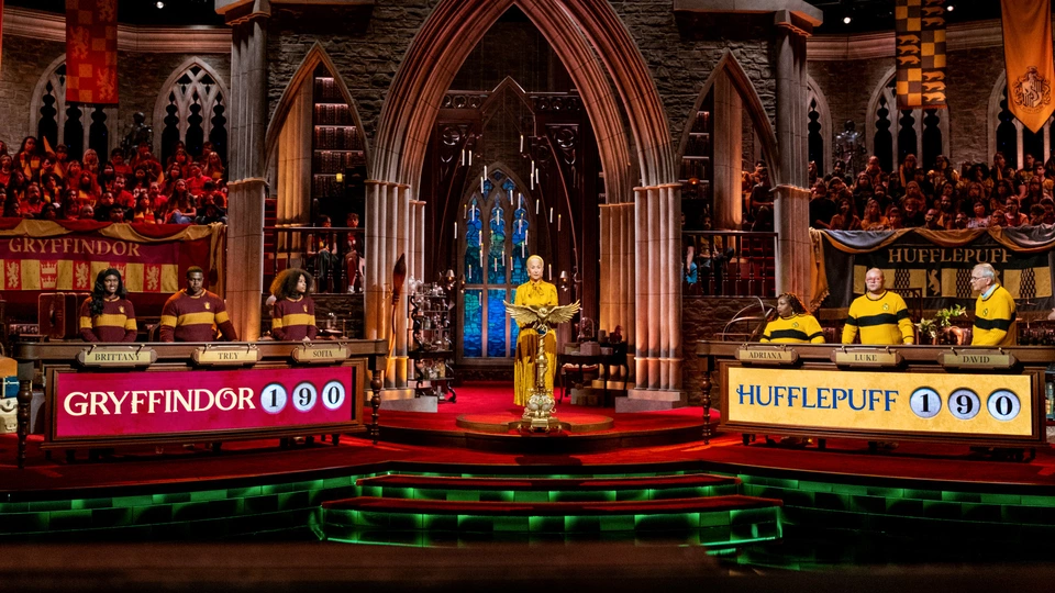 Harry Potter: Hogwarts Tournament of Houses