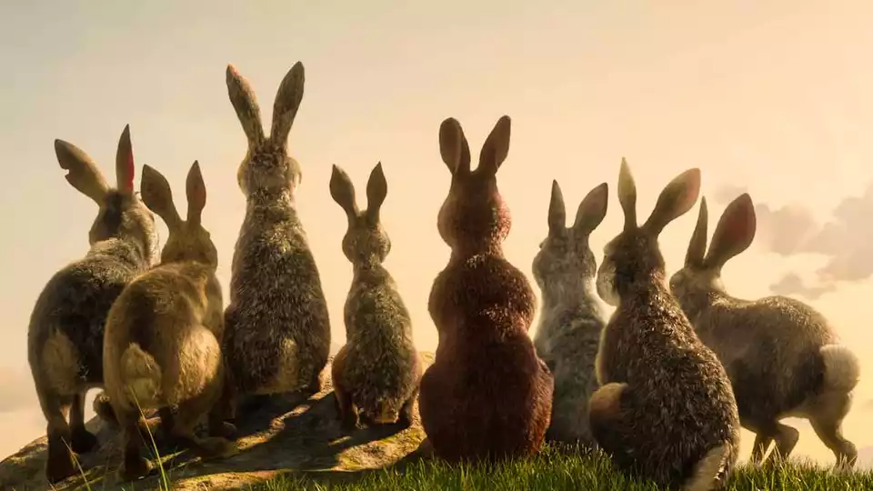 Обитатели холмов